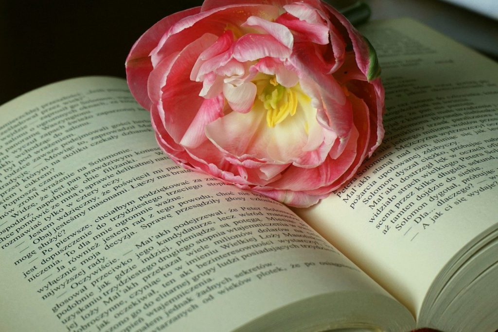 tulip, book, open book