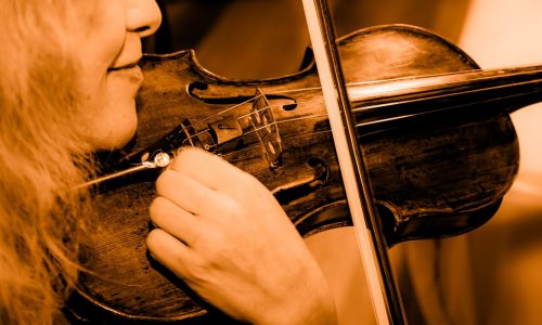 violin, playing, musician-5209008 violin, playing, musician