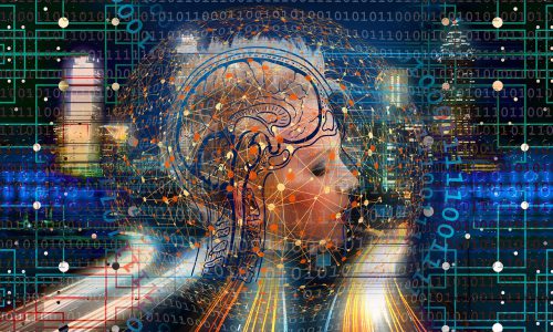 transformation, web, brain-4990460 transformation, web, brain